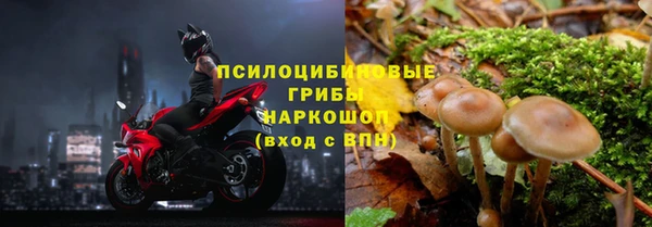 винт Аркадак
