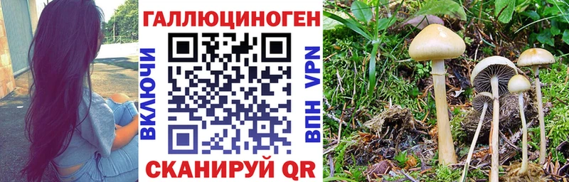 где найти   Кологрив  Галлюциногенные грибы мухоморы 